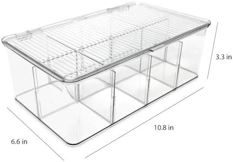 Divided Clear Plastic Organizer (10.88" x 6.63" x 3.75")
