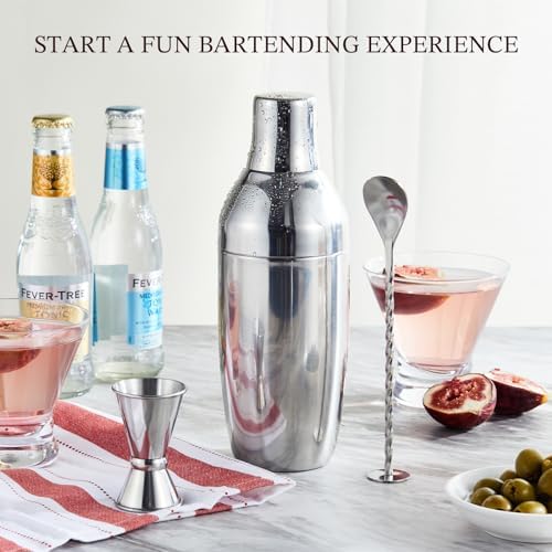 Cocktail Shaker Set with to-Go Carry Case & 2 Martini Glasses
