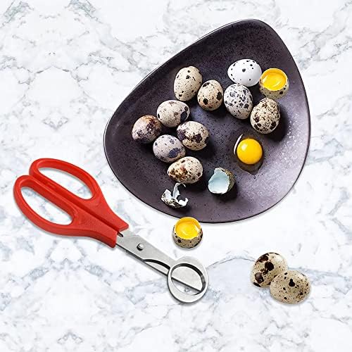 24 Pack Stainless Steel Quail and Pigeon Egg Cutter Scissors Tool for Home Kitchen (Four Colors: Black, White, Red, Green) with ABS Plastic Handle