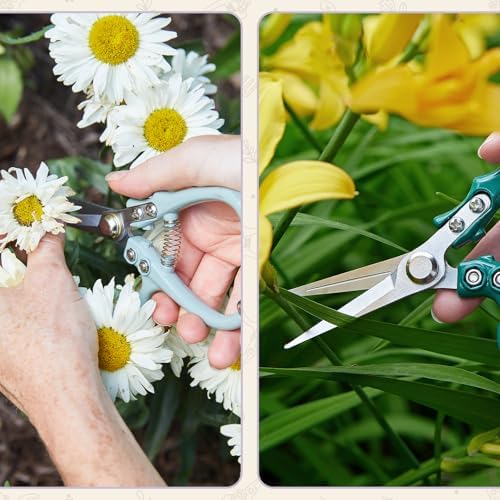 Pruning Shears- Garden Snips - Herb Scissors- Lavender 1-Pack