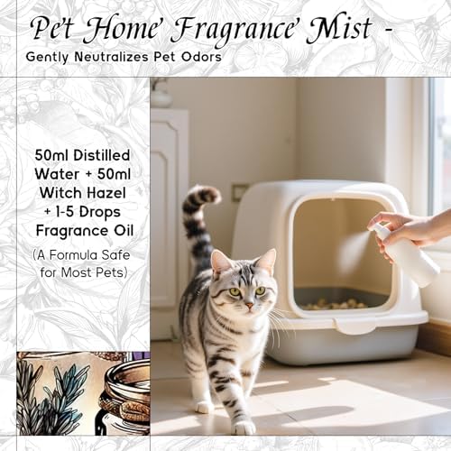 HIQILI White Sandalwood Fragrance Oil for Candle, Diffuser & Body - Image 5