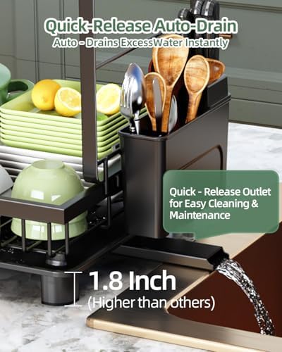 2-Tier Dish Drying Rack for Kitchen Counter, Space-Saving, Black