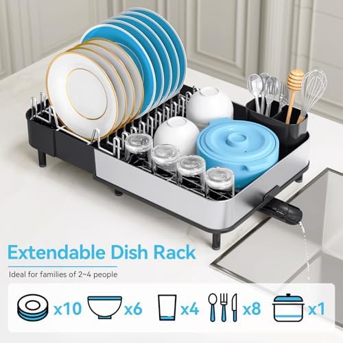 Stainless Steel Dish Drying Rack for Kitchen Counter,Black