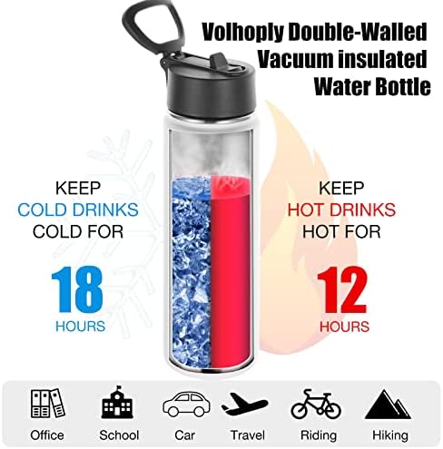 22oz Insulated Water Bottle with Straw Lid, Mix, 4-Pack
