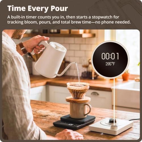 Gooseneck Electric Kettle, 1200W Temperature Control, 0.8L