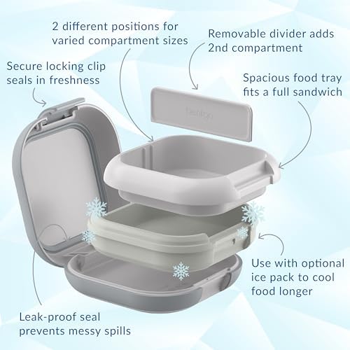 Chill Mini Leak-Proof 3 or 4 Compartment Lunch Box