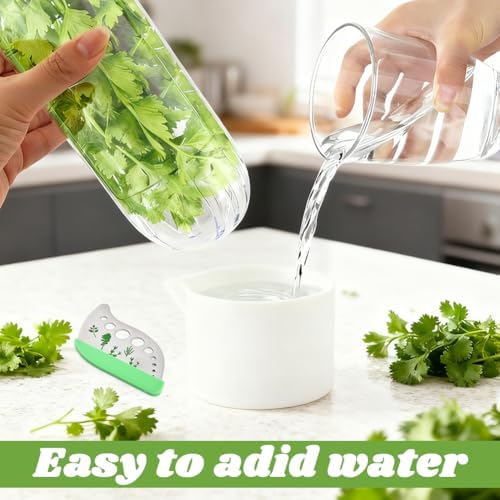 3Pcs Refrigerator Herb Keeper Containers,Herb Saver Jars with Herb Stripper