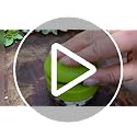 Manual Garlic Masher, Stainless Steel Blade Garlic Mincer Crusher with Peeler and Cleaning Brush, Hand-Press Garlic Chopper Grater for Ginger, Nut, Herb (1PCS)