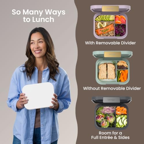 Modern Adult Bento Lunch Box with 3-4 Compartments