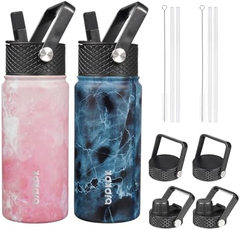 2 Pack 18oz Insulated Water Bottles with Straw Lids, Stainless Steel