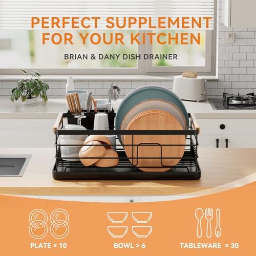 Dish Drying Rack, Dish Racks for Kitchen Counter, Stainless Steel Dish Drainer with Removable Cutlery Holder & Drainboard, Black