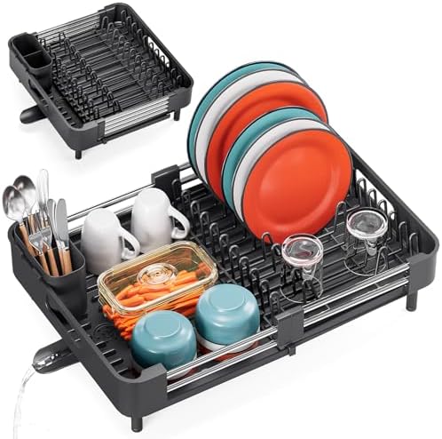 Expandable Dish Drying Rack for Kitchen Counter, Standard, Black