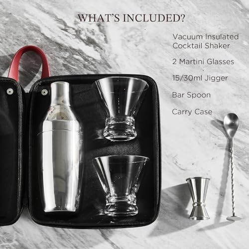 Cocktail Shaker Set with to-Go Carry Case & 2 Martini Glasses