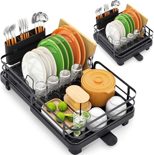 Expandable Dish Drying Rack for Kitchen Counter, Black