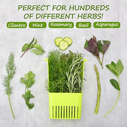 2 Pack Fresh Herb Keeper for Refrigerator, Clear BPA-Free Herb Saver, Storage Container for Cilantro, Parsley, Thyme, Mint & Asparagus, Preserver Keeps Fresh Herbs for 3 Times Longer