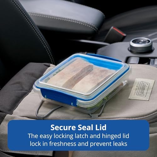 Pack & Go 450 mL Sandwich Container, 3-Pack, Meal Prep Containers with Secure Seal Lids