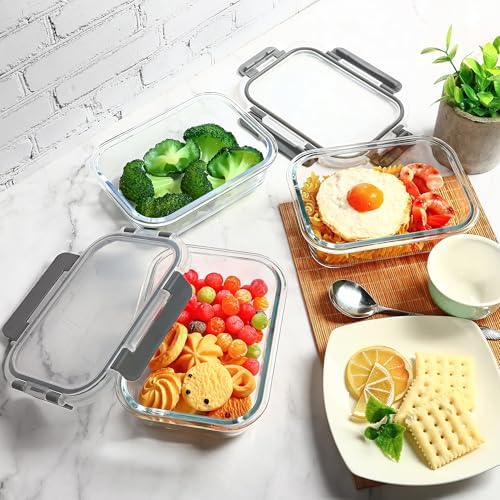 Glass Meal Prep Containers 10 Pack 22Oz with Airtight Lids Grey