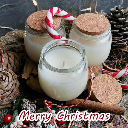 40 Pack 7oz Small Glass Jars with Cork Lids,Mason Jars