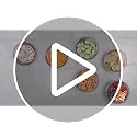 Ninja PREPi 5-in-1 Prep & Store System, Crinkle, Slice, Shred, PN301