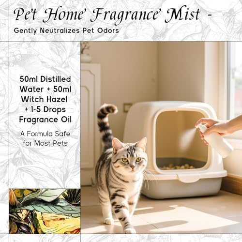 HIQILI Cedar Cologne Fragrance Oil for Diffuser, Candle & Soap Making - Image 5