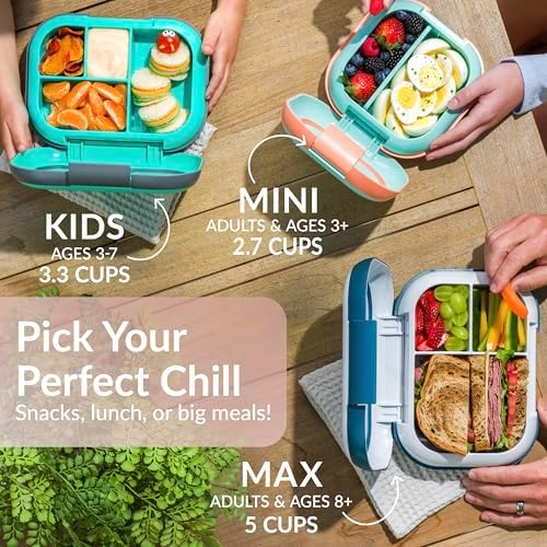 Chill Max Leak-Proof XL Bento-Style 3 or 4 Compartment Lunch Box