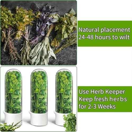 Herb Saver for Refrigerator - Herb Keeper & Cilantro Container for Fridge | Vegetable Preservation Storage Container for Cilantro, Basil, Asparagus | Extends Freshness Up to 2-3 Weeks