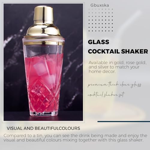 Cocktail Shaker Set with Jigger, Glass Shaker with Strainer
