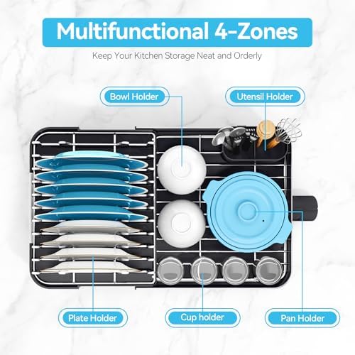 Stainless Steel Dish Drying Rack for Kitchen Counter,Black