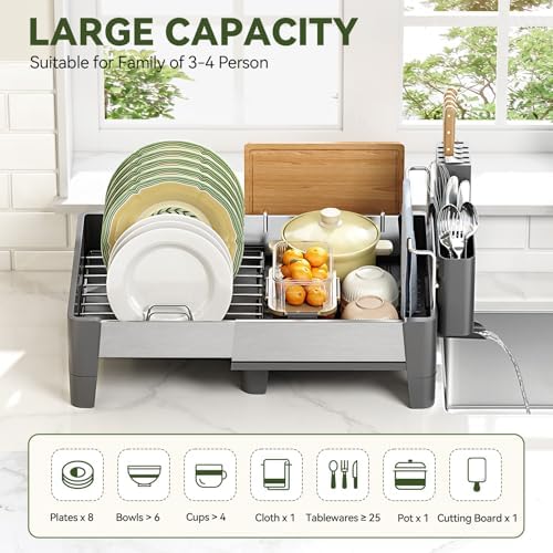Expandable Dish Drying Rack, Rustproof Stainless Steel & Aluminum