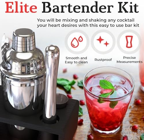 Cocktail Shaker Set: Bartender Kit for Home Bar Mixology Cocktail Bar Set Plus E-Book with 30 Recipes (Silver)