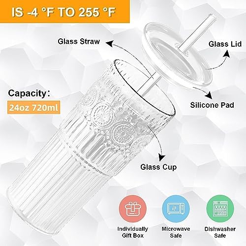 All Glass Iced Coffee Cup With Lids and Straws，24 OZ High Borosilicate Glass Tumbler for Water Smoothie Juice Drinks