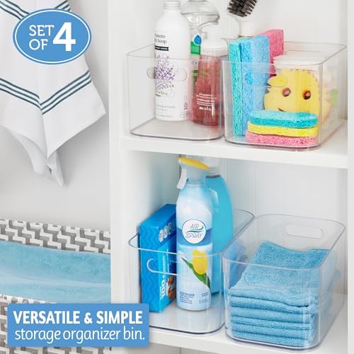 Bliss 10" x 6" Open Clear Pantry Organizer Bin, Set of 4, Plastic Containers with Handle for Kitchen, Fridge, Cabinet, Closet, Bathroom, Undersink Storage Made in USA