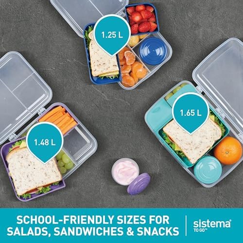 To Go 1.48L (2-Pack) Bento Box Food Storage Containers, School Lunch Boxes with Removable Dividers & Snack Pot, Two 1.48L Containers, Freezer, Microwave, & Dishwasher-Safe, BPA-Free