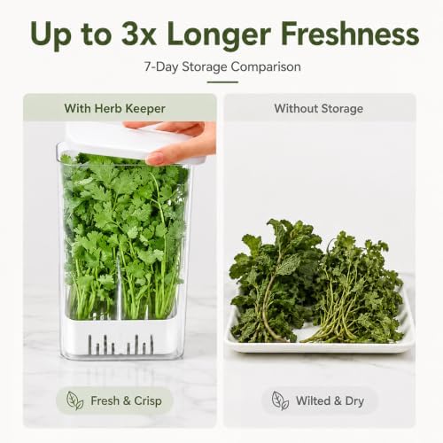 Herb Keeper Storage Container, Divided Removable Partition Herb Saver