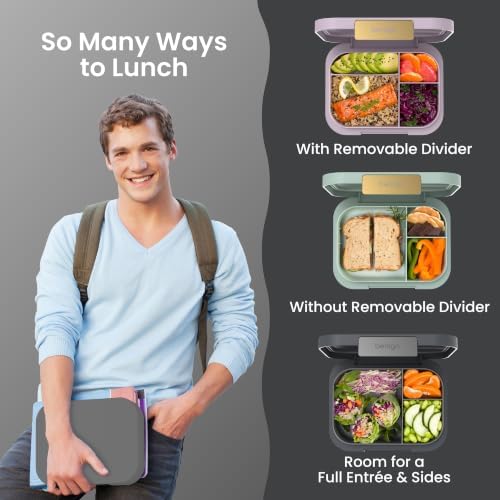 Modern Adult Bento Lunch Box with 3-4 Compartments
