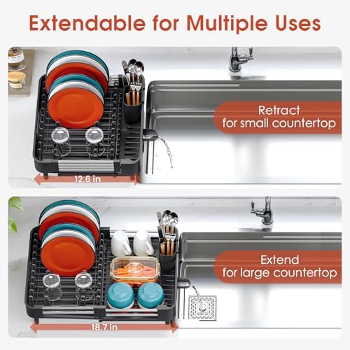 Expandable Dish Drying Rack for Kitchen Counter, Standard, Black