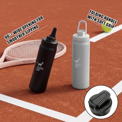 CHEERFUL GOAT Ceramic Water Bottle, 25oz Coffee Bottle with Straw (Grey) - Image 4