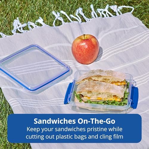Pack & Go 450 mL Sandwich Container, 3-Pack, Meal Prep Containers with Secure Seal Lids