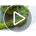 Sustainable Stainless Steel Wasabi Grater - Hagane Zame REGULAR - Grate Wasabi, Garlic, Ginger, Apples, Fruits, Vegetables, Creamy Texture/Kinjirushi Wasabi (Reguar, 6.8 inch x 3.3 inch)