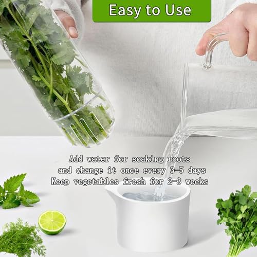 Herb Saver for Refrigerator, Herb Saver Pod Cilantro Containers for Refrigerator, Fresh Herb Keeper for Cilantro, Parsley, Asparagus, Mint, Keeps Greens Vegetables for 2-3 Weeks (Herb Keeper 3Pack)