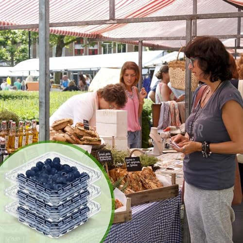 60 Pcs Plastic Berry Basket with Clamshell Lids