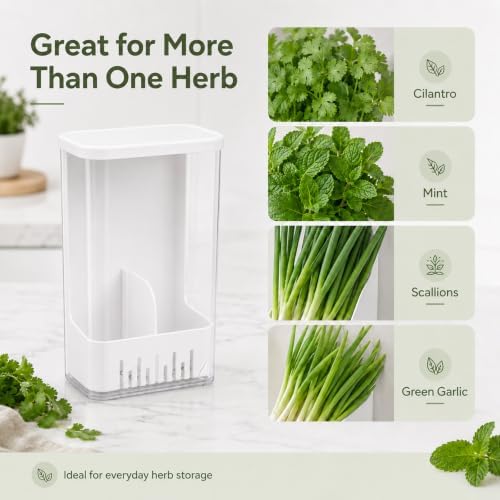 Herb Keeper Storage Container, Divided Removable Partition Herb Saver