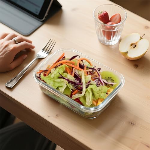10 Pack 22 oz Glass Meal Prep Containers, Glass Food Storage Containers with Airtight Lids, BPA-Free, Freezer and Microwave Safe, Green
