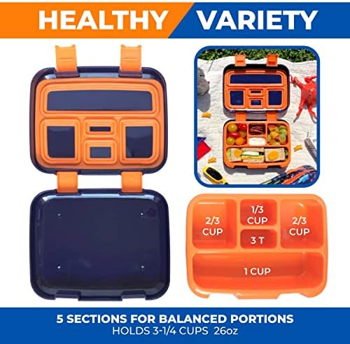 Dinosaur Bento Lunch Box Container for Small Kids Boys, Blue Orange