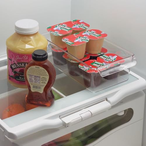 Fridge Storage Bin with Handle, Set of 4, Clear