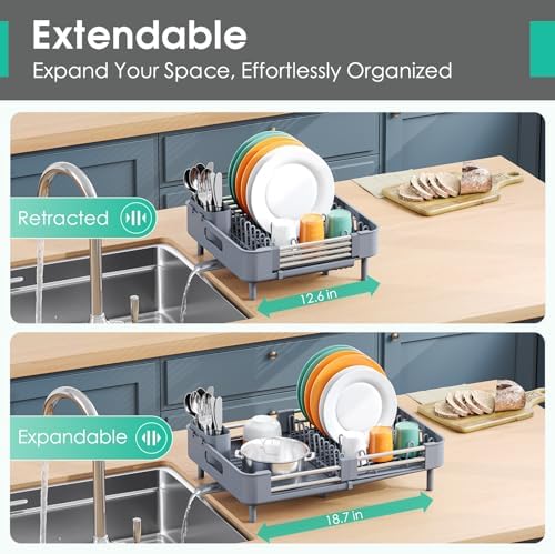 Expandable Dish Drying Rack for Kitchen Counter, Standard, Grey