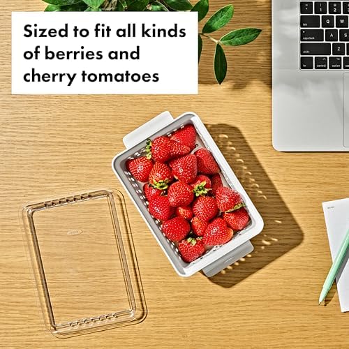 OXO Good Grips Produce Saver - Berry Keeper, 2-Piece Set