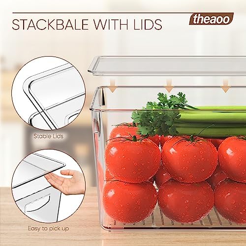 Large Clear Storage Bins with Lids, Stackable Containers, 4 Pack