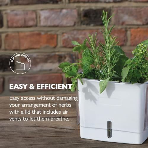 Cole & Mason Herb Storage Container for Refrigerator, Fresh Herb Keeper