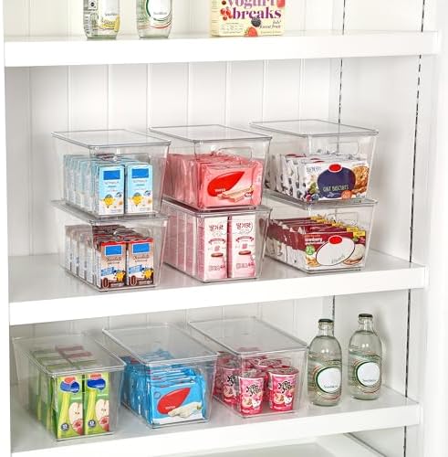 6 Pack Clear Stackable Storage Bins with Lids and Handles, Medium